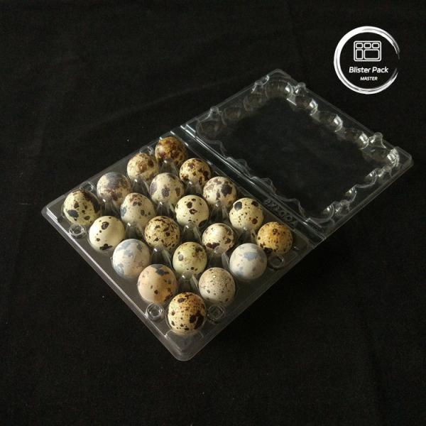Affordable PET Clear Plastic Egg Trays with Lid 20 24 30 Cells for Disposable