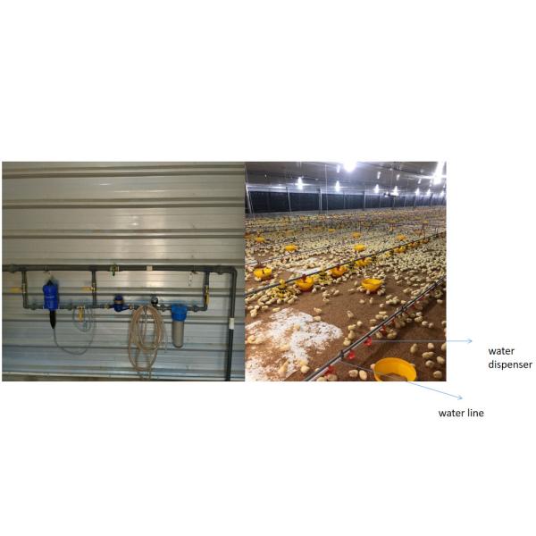 Industrial Livestock Steel Structure Farm House Use Colorful Panel