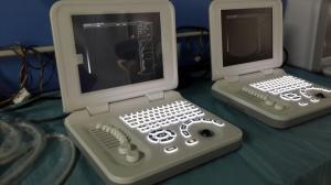 Wholesale Notebook Veterinary Ultrasound Machines Digital Ultrasound Scanner Rectal Probe from china suppliers