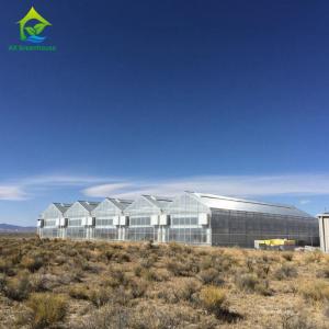 Wholesale Multispan 28m-50m Length Light Deprivation Greenhouse With Blackout System from china suppliers