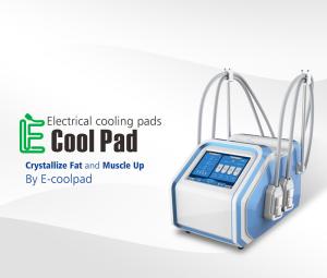 Wholesale Protable Cryolipolysis Fat Freezing Machine For Cryo Body Slimming Home Use from china suppliers