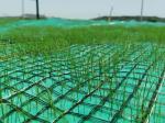 Nonwoven and Geogrid Reinforced Coconut Coir Mat for Vegetation Establishment