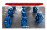 Shipping Duplex Oil Strainers & Double Oil Strainer Model AS16050 Cb/T425 Body