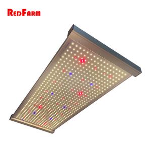 Wholesale Horticulture Lighting Quantum Board LED Grow Lights Veg Bloom For Grow Tent from china suppliers