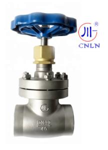 Wholesale SS304/316 Cryogenic Globe Valve Short Stem-Type B(DN10-100mm) for LNG/LOX/LN2 from china suppliers