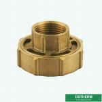 Brass Color Female Union For Ppr Fittings Customized Designs