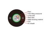 TTI Factory Wholesale Black Unitube Light-Armored Cable From China GYXTW