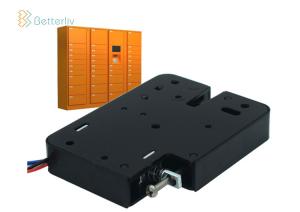 Wholesale 1 Second Hidden Electronic Cabinet Locks , Electric Magnetic Lock Dc 12v 24v from china suppliers