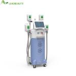 Professional cryolipolysi fat freezing cryo lipolysis machine 4 handles weight