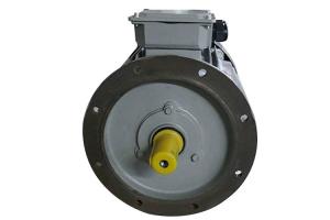 Wholesale 5.5 Hp 4kw 3 Phase Induction Motor 2 Poles 50Hz Y2-112M-2 For General Driving from china suppliers
