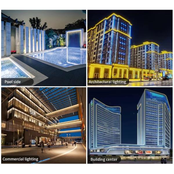 High Voltage Flexible COB LED Strip Light IP65 Waterproof 50M 100M per Reel with 30000 Hours Lifespan and 80 CRI