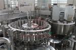 Turn Key Project Plastic Bottle Filling Machine Conmplete Beverage Packing Line
