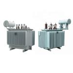 High Voltage Oil Immersed Distribution Transformers, Manufacturer of Distributio