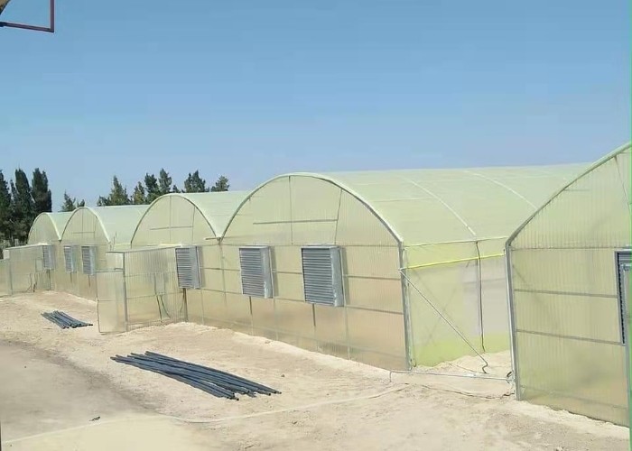 10 X 6 10 X 20 10 X 12 10' X 10 Clear Polycarbonate Greenhouse Wave Sheet Yellow Film Growing Lettuce Leaf Vegetable
