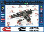 Wholesale High Level Fuel Injector 4307795 3087733 3095086 3411691 3411759