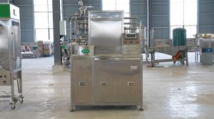 Wholesale Stainless Steel Mango Processing Line for Reliable and High Capacity Production from china suppliers
