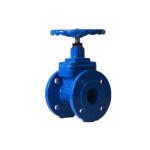 DN50 Rubber Resilient Seated Gate Valve Flanged End