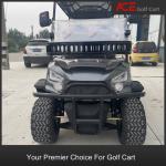 Customized 48V Electric Golf Cart With Disc Brake Aluminum Wheels
