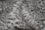 100% Polyester Leopard Print Fabric Wrinkle Resistant 150CM Width