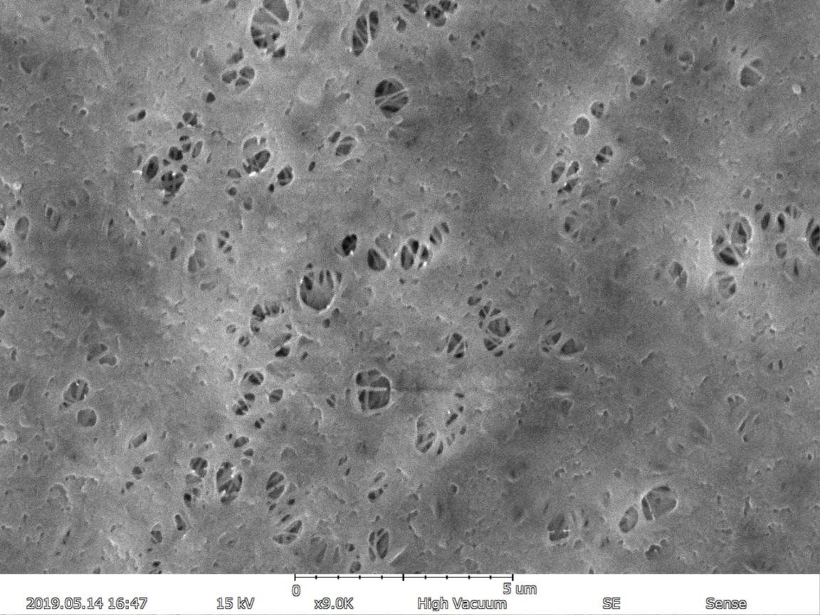 Magnification Max 150000X Scanning Electron Microscope 5nm Resolution EDS BSE