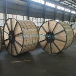 XLPE Insulation 64/110kv Overhead High Voltage Copper Conductor with Lead Sheath