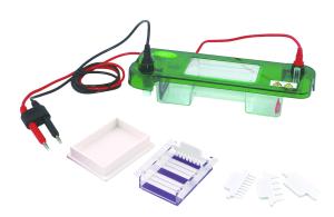 Wholesale JY-SPAT Agarose Gel Electrophoresis Apparatus Horizontal Electrophoresis Cell from china suppliers