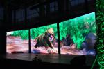 P3 1R1G1B Indoor LED Screen Rental with Die - Casting Aluminum Cabinet