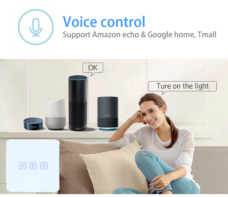 WiFi 240V 2 Gang Tuya Smart Switch With Google Alexa Voice Control