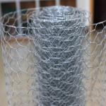 Chicken Coop Galvanized Hexagonal Wire Netting Twisted Weave Style Iron Wire