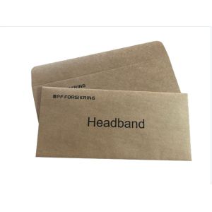 Secure Shipping Introduction Custom Printed Rigid Kraft Paper Envelope With Logo