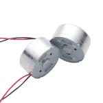 Faradyi High Quality Customization 12V 24V 48V 2500Rpm 3500Rpm 310 Mini Dc Brush