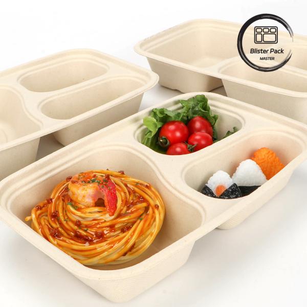 9-Inch Sugarcane Bagasse Clamshell Lunch Box Disposable and Biodegradable Food