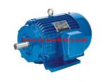 Engine Motor three phase Super High Efficiency AC DC Electric Motor