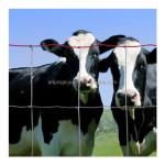 8ft Height Agriculture Field 100m Veld Span Field Fence for Outdoor Animal