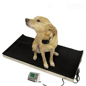 Wholesale LED 60kg Precision Animal Digital Weight Scale from china suppliers