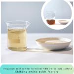 Irrigation Acid Powder Fertilizer Amino Acid 45% Sulfate Chloride Free for