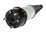 Pneumatic Rear Jaguar Xj8 Suspension For XJ XJR C2C41340 C2C41341