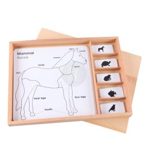 Wholesale wooden montessori educational toys in china - Animal Puzzle Activity Set from china suppliers