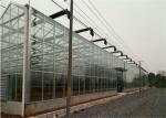 Simple Construction Agricultural Glass Greenhouse Venlo Type Greenhouse For