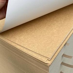 Wholesale Eco Conscious Disposable Coated Kraft Paper From FSC Certified China Paper Factory from china suppliers