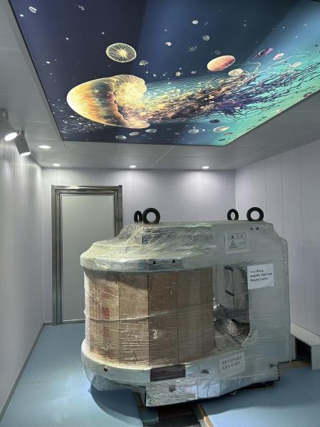 Permanent Magnetic Faraday Cage Superconducting Magnetic Faraday Cage For
