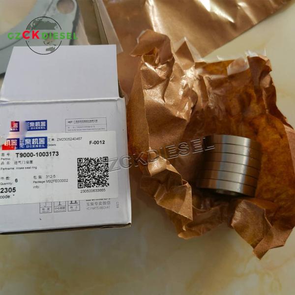 Original Exhaust Valve Seat T9000-1003174 Intake Valve Seat T9000-1003173 for ENGINE YC6T YC6T9000