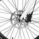 20 Inch Wheel Disc Brake Cargo E Bike 48V 500W With 14.5Ah 21Ah 24.5Ah Lithium