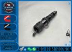 Common Rail Fuel Injector 432678 4088431 4317237 4902827 4902828 4076533 4317224