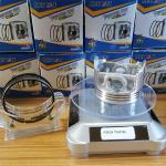 TWISTER Anti Corrosion Piston Single Ring , Wear Resistant Cast Iron Piston