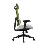 3 Angles Locking Ergonomic Reclining Office Chair Ergo Mesh 18.5 KGS