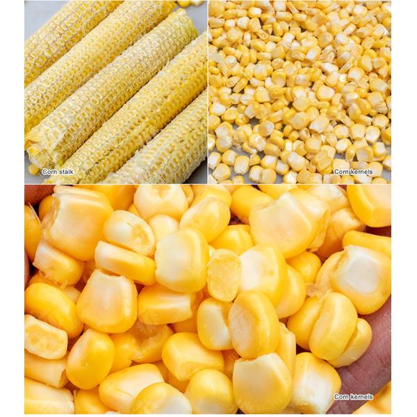 Corn Thresher no conveyor belt Corn processing production Supplying Machine