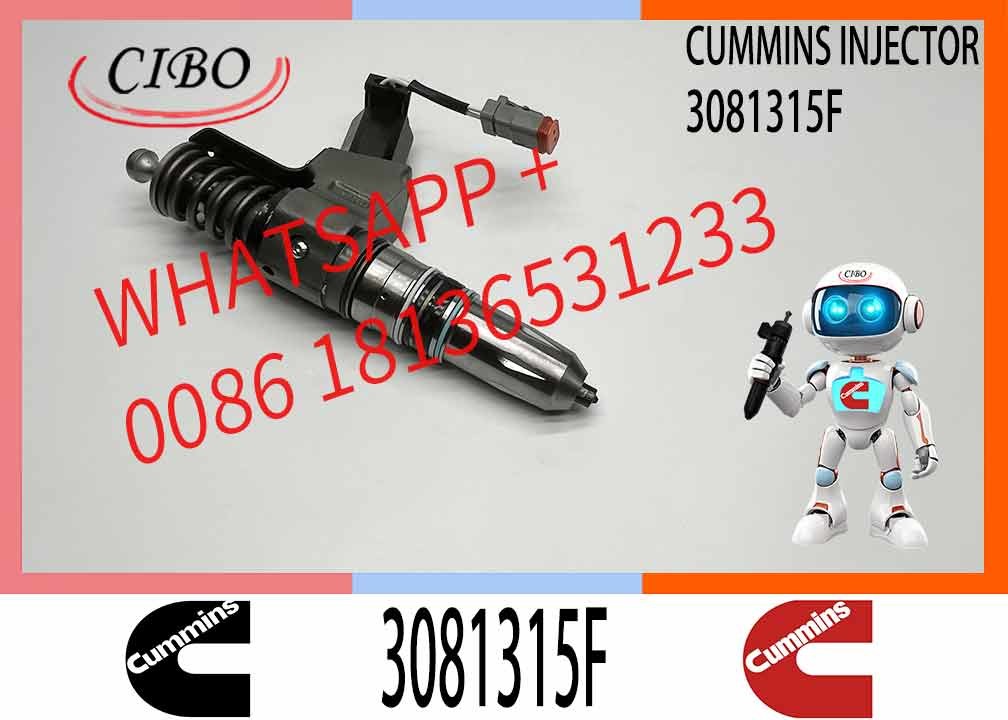 NINE Brand Engine Parts Fuel Injector 3081315F Diesel Injector 3081315F