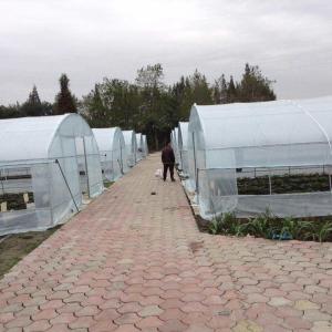 Wholesale 4 Mil Tunnel Plastic Greenhouse Cover Reinforced Clear Poly Sheeting from china suppliers