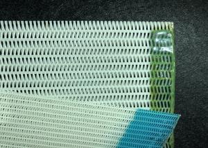 Wholesale Paper Pulps Making Polyester Mesh Belt from china suppliers